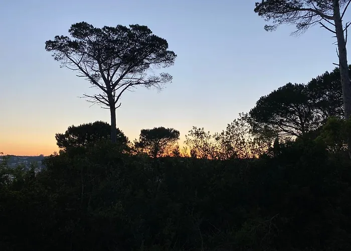 Quinta Casal Da Eva Alcobaça